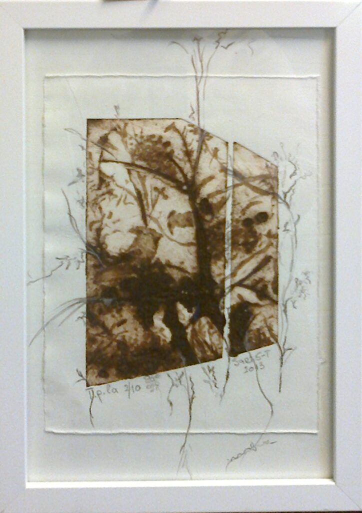 18766492_1583087745049396_6950373952176095640_o